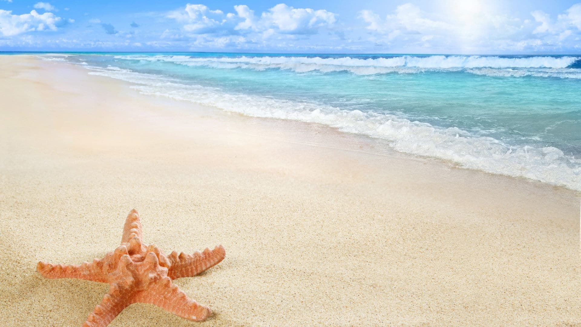 beach-sand-sea-starfish-sun-(1)